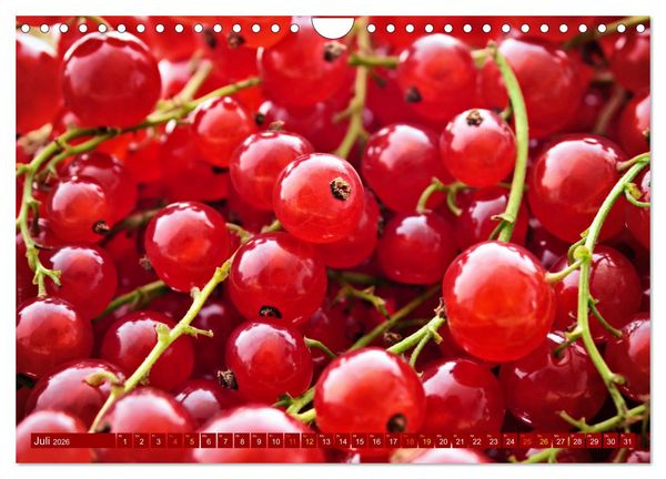 Produktbild: ROT - Gem&uuml;se und Obst - Voller Power (Wandkalender 2026 DIN A4 quer), CALVENDO Monatskalender
