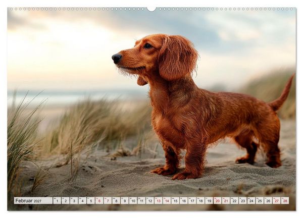 Produktbild: Lieblingshund Dackel (hochwertiger Premium Wandkalender 2027 DIN A2 quer), Kunstdruck in Hochglanz