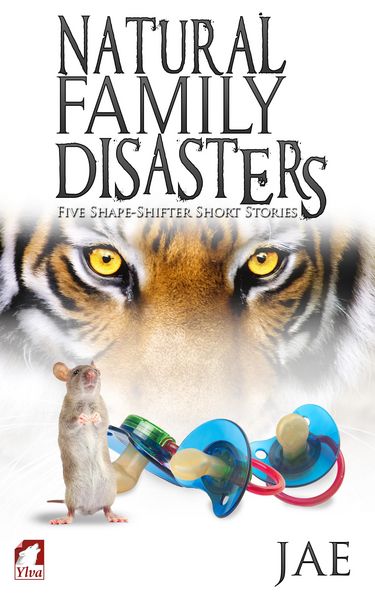 Produktbild: Natural Family Disasters