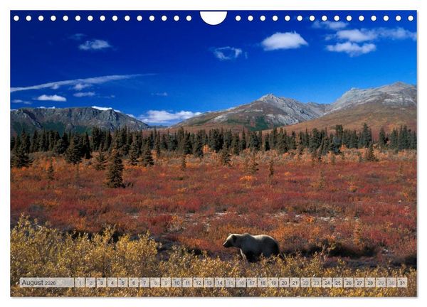 Produktbild: Wildes Alaska Christian Heeb (Wandkalender 2026 DIN A4 quer), CALVENDO Monatskalender