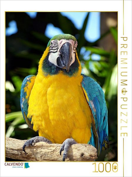 CALVENDO Puzzle Stolzer Gelbbrustara 1000 Teile Lege-Größe 64x48cm Foto-Puzzle für glückliche Stunden