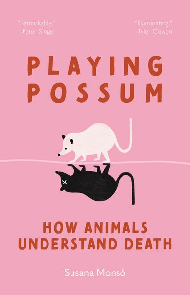 Produktbild: Playing Possum