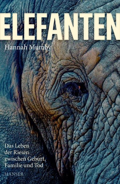 Elefanten, Gebundene Ausgabe von Hannah Mumby, Carl Hanser, 9783446269316