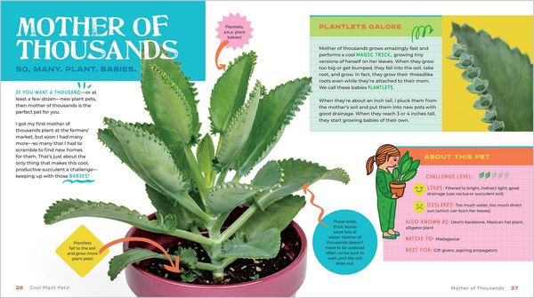 Produktbild: Plant Pets