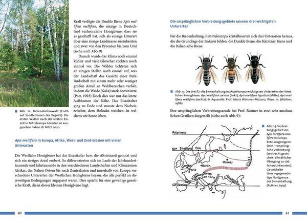 Produktbild: Nachhaltig Imkern mit gesunden Honigbienen