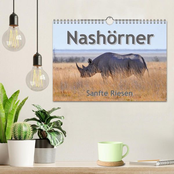 Produktbild: Nash&ouml;rner - Sanfte Riesen (Wandkalender 2026 DIN A4 quer), CALVENDO Monatskalender