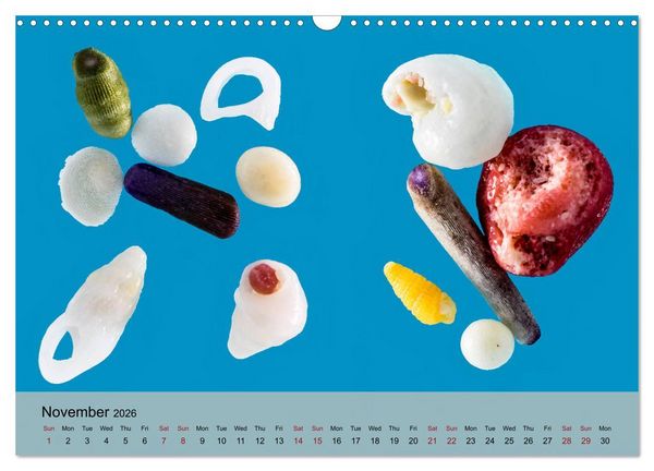 Produktbild: bermuda pink (Wall Calendar 2026 DIN A3 landscape), CALVENDO 12 Month Wall Calendar