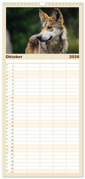 Produktbild: Familienplaner 2026 - Begegnung mit dem Wolf mit 5 Spalten (Wandkalender, 21 x 45 cm) CALVENDO