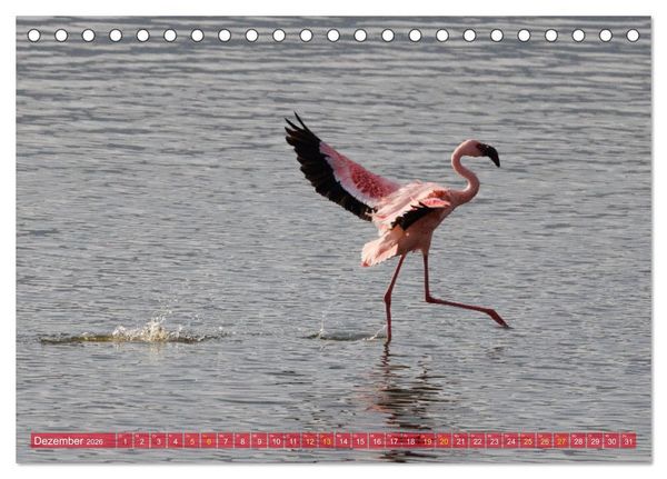 Produktbild: Flamingos am Lake Bogoria - Kenia (Tischkalender 2026 DIN A5 quer), CALVENDO Monatskalender
