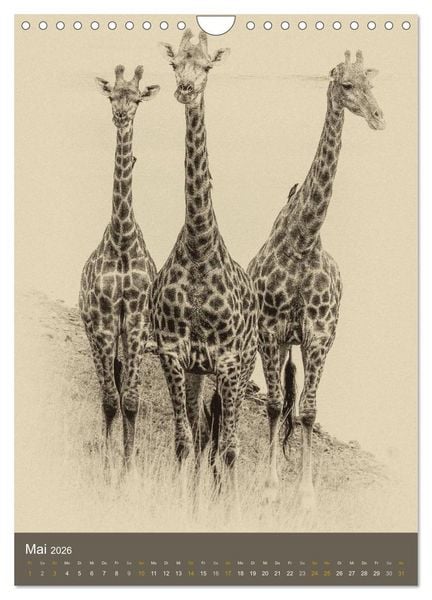 Produktbild: Afrikas Tierwelt - Sepia-Art (Wandkalender 2026 DIN A4 hoch), CALVENDO Monatskalender
