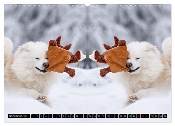 Produktbild: Mit doppelter Power durch das Jahr (hochwertiger Premium Wandkalender 2026 DIN A2 quer), Kunstdruck in Hochglanz