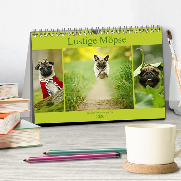 Produktbild: Lustige M&ouml;pse aus der Hundeknipserei (Tischkalender 2026 DIN A5 quer), CALVENDO Monatskalender