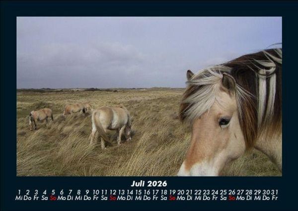 Produktbild: Die Welt der Pferde 2026 Fotokalender DIN A5