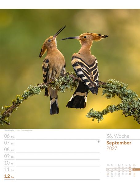 Produktbild: Unser Wald Wochenplaner Kalender 2027