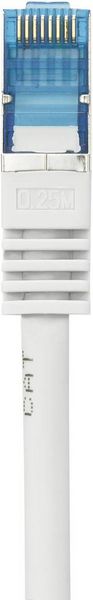 Produktbild: Renkforce RF-4145277 RJ45 Patchkabel CAT 6a S/FTP 0.25 m Grau mit Rastnasenschutz, Flammwidrig 1 St.