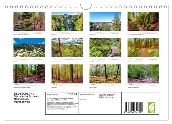 Produktbild: DEUTSCHLAND, S&auml;chsische Schweiz Nationalpark, M&auml;rchenwald (Wandkalender 2026 DIN A4 quer), CALVENDO Monatskalender