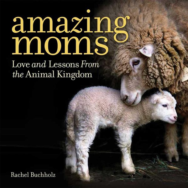 Produktbild: Amazing Moms
