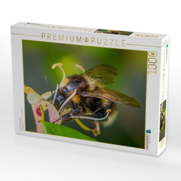 Produktbild: CALVENDO Puzzle Hummel auf Gei&szlig;blatt | 1000 Teile Lege-Gr&ouml;&szlig;e 64x48cm Foto-Puzzle f&uuml;r gl&uuml;ckliche Stunden