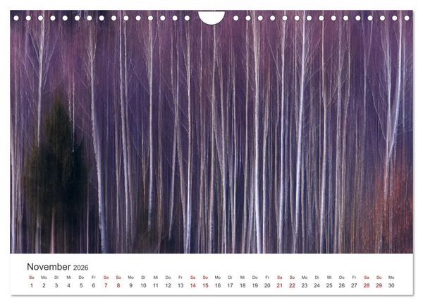 Produktbild: Naturjuwel Haspelmoor (Wandkalender 2026 DIN A4 quer), CALVENDO Monatskalender