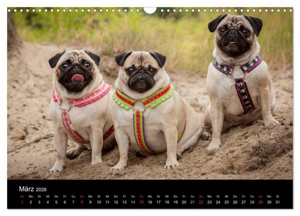 Produktbild: Vermopst durchs Jahr (Wandkalender 2026 DIN A3 quer), CALVENDO Monatskalender