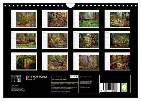 Produktbild: Der Neuenburger Urwald (Wandkalender 2026 DIN A4 quer), CALVENDO Monatskalender