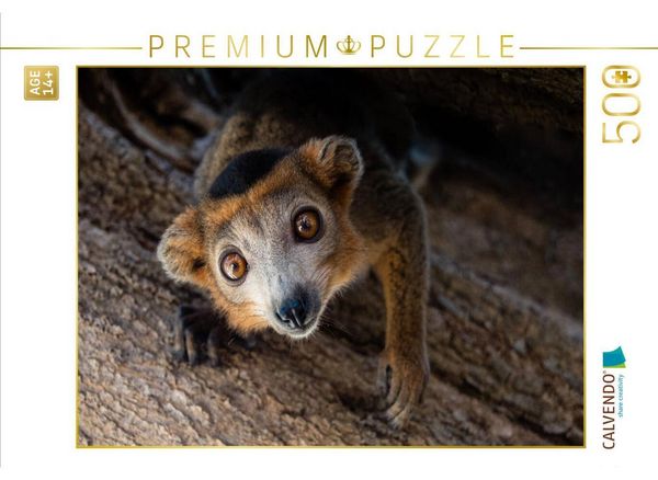 CALVENDO Puzzle Lemur | 500 Teile Lege-Größe 48 × 36 cm Foto-Puzzle für Erwachsene