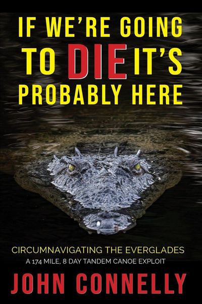 Produktbild: If We're Going to Die, It's Probably Here