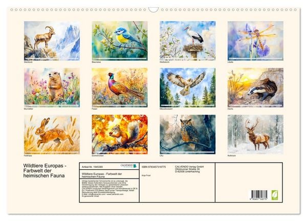 Produktbild: Wildtiere Europas - Farbwelt der heimischen Fauna (Wandkalender 2026 DIN A2 quer), CALVENDO Monatskalender