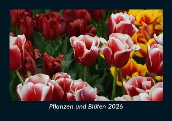 Pflanzen und Blüten 2026 Fotokalender DIN A5