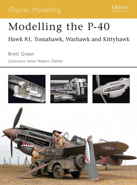 Produktbild: Modelling the P-40
