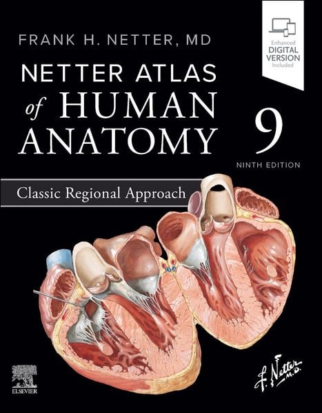 Produktbild: Netter Atlas of Human Anatomy: Classic Regional Approach