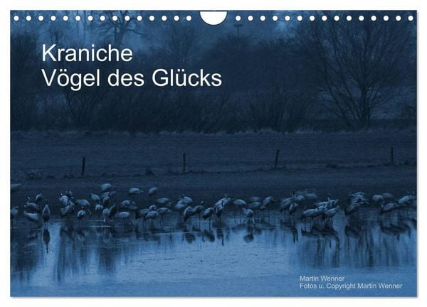 Produktbild: Kraniche (Wandkalender 2026 DIN A4 quer), CALVENDO Monatskalender