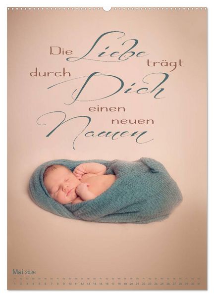 Produktbild: Babys - Die Liebe des Lebens (hochwertiger Premium Wandkalender 2026 DIN A2 hoch), Kunstdruck in Hochglanz