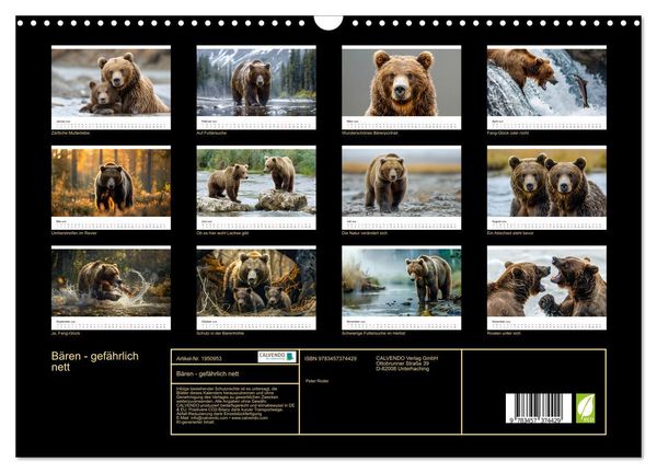 Produktbild: B&auml;ren - gef&auml;hrlich nett (Wandkalender 2026 DIN A3 quer), CALVENDO Monatskalender