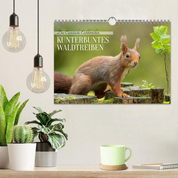 Produktbild: Das Eurasische Eichh&ouml;rnchen - Kunterbuntes Waldtreiben (Wandkalender 2026 DIN A4 quer), CALVENDO Monatskalender