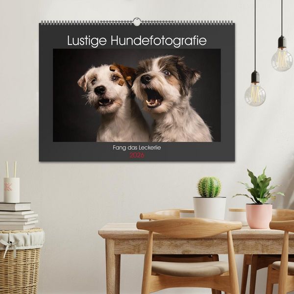 Produktbild: Fang das Leckerlie (Wandkalender 2026 DIN A2 quer), CALVENDO Monatskalender