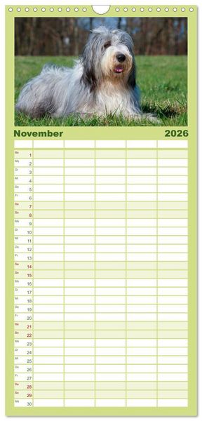 Produktbild: Familienplaner 2026 - Liebenswerter Clown Bearded Collie mit 5 Spalten (Wandkalender, 21 x 45 cm) CALVENDO