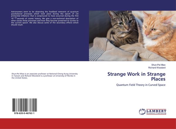 Produktbild: Strange Work in Strange Places