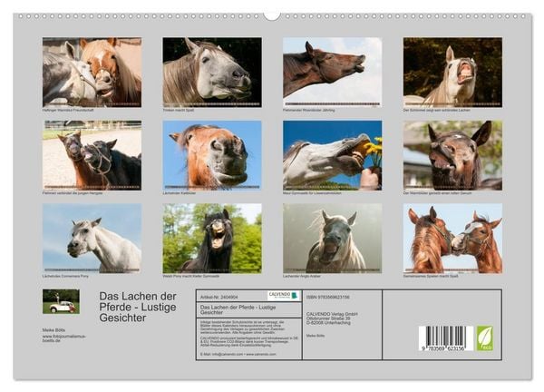 Produktbild: Das Lachen der Pferde - Lustige Gesichter (hochwertiger Premium Wandkalender 2027 DIN A2 quer), Kunstdruck in Hochglanz