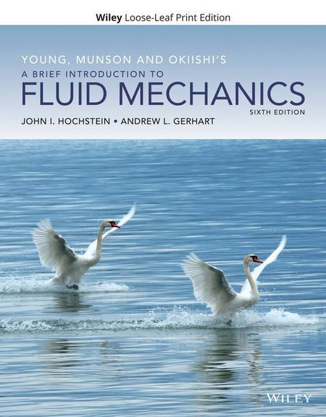 Produktbild: Young, Munson and Okiishi's a Brief Introduction to Fluid Mechanics