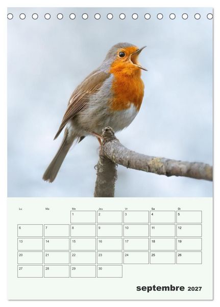 Produktbild: Voyage ornithologique (Calendrier de bureau 2027 DIN A5 horizontal), CALVENDO calendrier mensuel