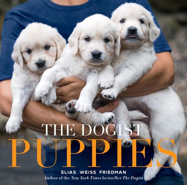 Produktbild: The Dogist Puppies