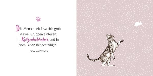 Produktbild: Katzen