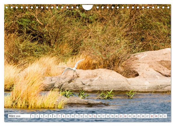 Produktbild: &Auml;gypten Landschaften am Nil (Wandkalender 2026 DIN A4 quer), CALVENDO Monatskalender