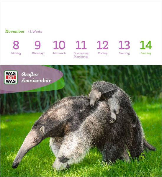 Produktbild: WAS IST WAS Geniale Tiere Postkartenkalender 2027 - Kalender mit 53 Sammelkarten