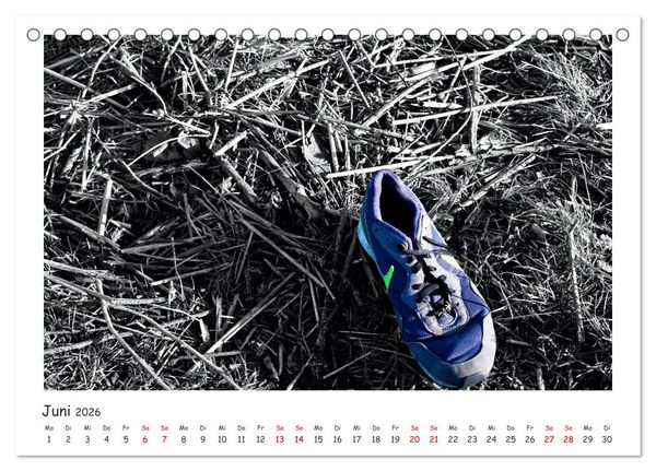 Produktbild: Gestrandet -Treibgut- (Tischkalender 2026 DIN A5 quer), CALVENDO Monatskalender