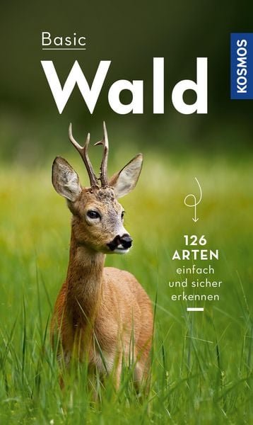 Produktbild: Basic Wald