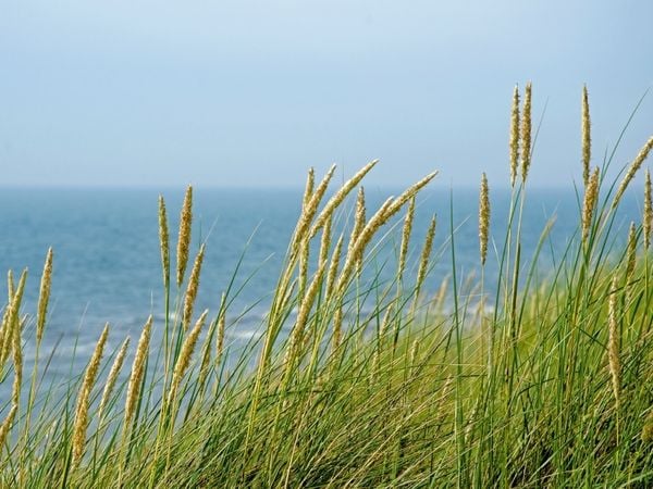Produktbild: An der Nordsee (Puzzle)