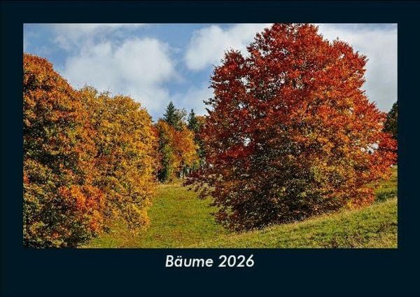 Produktbild: B&auml;ume 2026 Fotokalender DIN A5