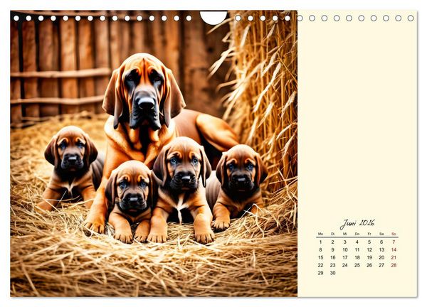 Produktbild: Bloodhound - M&auml;chtige Sp&uuml;rnase (Wandkalender 2026 DIN A4 quer), CALVENDO Monatskalender